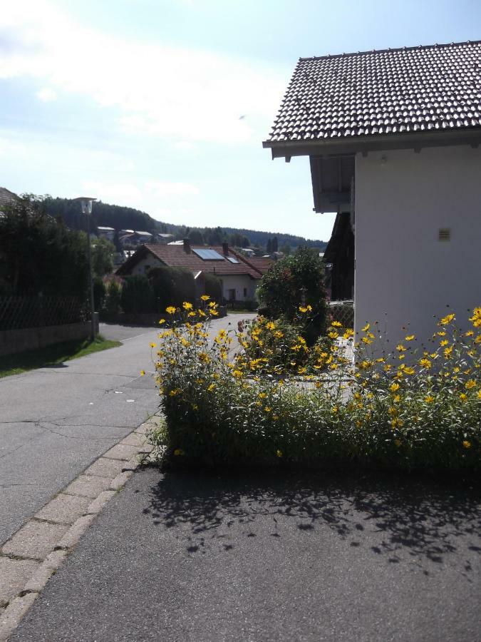 Fewo 2 Am Fischerweg Bodenmais Exterior photo